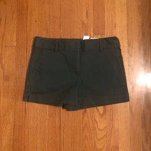 LOFT Riviera Shorts NWT